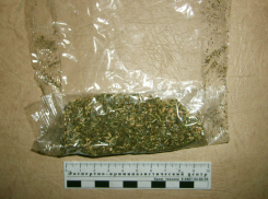 Воронежский наркоконтроль задержал торговцев и изготовителей «спайса»