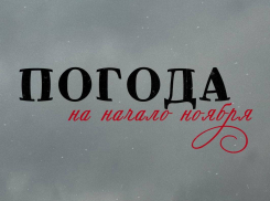 Что там за окном: что ждать воронежцам в первую неделю ноября?