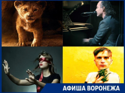 Куда сходить в Воронеже: «Король Лев», Stephen Paul Taylor, музыка в темноте и Джанго