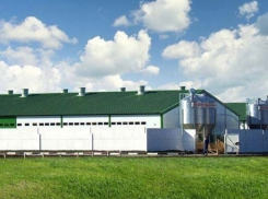 В доклад уполномоченного по правам человека в Воронежской области попала публикация «Блокнота»