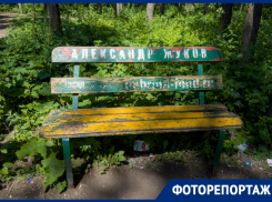  Парк с депутатскими лавочками превратился в сорняковый кошмар в Воронеже 