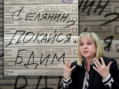 Элла Памфилова послала новый сигнал воронежским креаторам «селянинских» выборов
