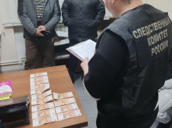 Пьяный водитель рискует «заехать» за попытку дать взятку в Воронежской области