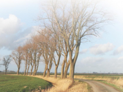 Земельный округ Германии решил «отдохнуть» от Воронежа