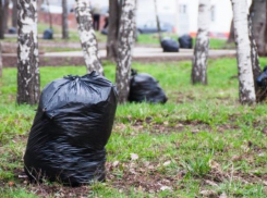 Воронежцам предложили объединиться для очищения родного города