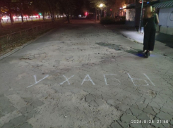 Народное предупреждение об ухабах появилось в Воронеже