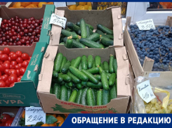 Об астрономическом ценнике за кило огурцов рассказала жительница Воронежа