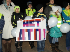 Воронежские сотрудники ГИБДД провели флешмоб «Уходят, не прощаясь» 