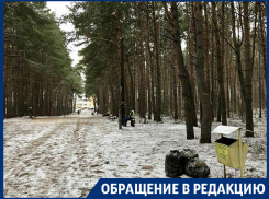 Благодаря вам Северный лес привели в порядок! – читательница «Блокнота Воронеж»