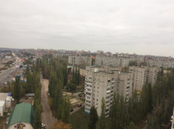 На выходных воронежцев ждут заморозки без снега 