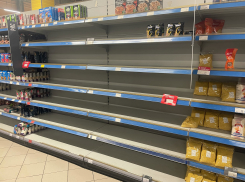 Продукты продолжают исчезать с полок воронежских магазинов