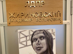 Жириновский повесил фото нововоронежской Алёнки на дверях своей приёмной