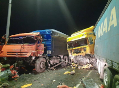 Двое погибших, двое раненых: в Воронежской области снова столкнулись грузовики