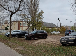 Сквер имени Героя Советского Союза превратили в бесплатную парковку в Воронеже