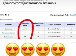 Ангелина Мельникова показала, как сдала ЕГЭ с минимальной подготовкой 