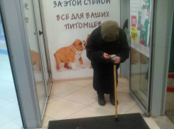 Воронежец сообщил о мошеннике, который под видом старушки просит милостыню