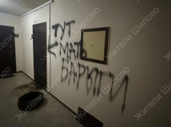 Вандалы устроили перфоманс возле жилища «матери наркоторговца в Воронеже»