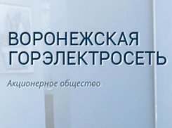 Депутаты пустили с молотка Воронежскую горэлектросеть