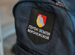 Стало известно, когда начнется новый образовательный модуль проекта «Герои земли Воронежской»