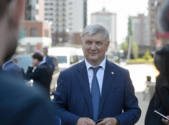 В Воронеже обновят коммунальную технику для уборки за 714 млн рублей