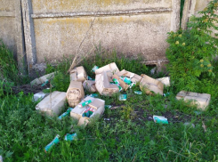 Свалку просроченных вакцин от туберкулеза обнаружили в селе под Воронежем