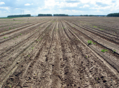 Депутаты Воронежской горДумы обсудили увеличение земельного налога