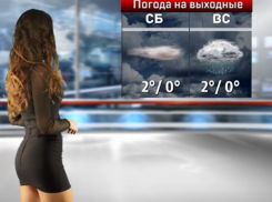 Какими будут последние выходные осени в Воронеже 