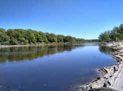 В Воронеже отклонили апелляцию по сносу забора элитного поселка Holiday