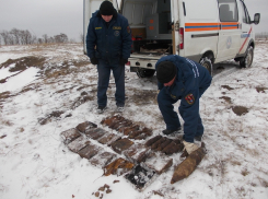 140 кг тротила времен ВОВ нашли в Воронежской области