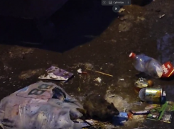 Вопиющая антисанитария: крысиный ужин сняли на видео в Воронеже