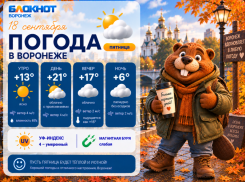 Солнышко вернулось: прогноз погоды в Воронеже