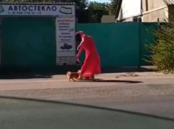 Эпатажную прогулку раскрепощенной девушки с собаками сняли на видео в Воронеже
