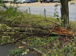 Памятник непогоде появился на воронежской улице 