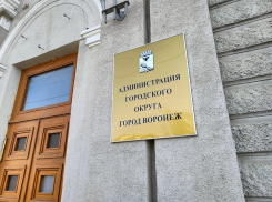 В мэрии отреагировали на возбуждение дела против первого замглавы Воронежа