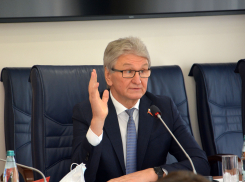 26 дней воронежцы не видели второго человека города