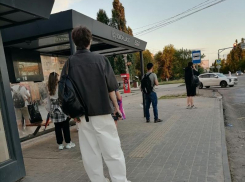 Захолустьем без автобусов стали воронежские ВАИ в выходные парадоксальным образом