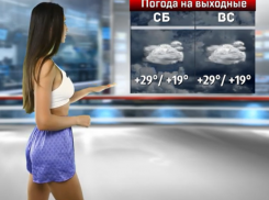 Какой будет погода в последние выходные лета в Воронеже