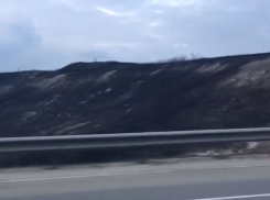 Мощный весенний пожар превратил в пепел поле под Воронежем