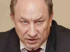 Депутат Госдумы призвал поддержать требования дальнобойщиков Воронежской области