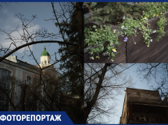 Не только подснежники: как Воронеж просыпается после зимней спячки