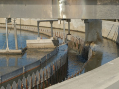 Взыскание на 725 млн рублей оспорили скандальные воронежские ЛОСы