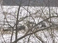 Первое ДТП на дороге Шишкова-Тимирязева произошло, а воронежские чиновники еще не успели её открыть 