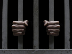 За жестокое убийство полуторогодовалой дочери воронежцу грозит пожизненный срок