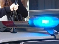 В Воронеже у девушки прямо из рук вырвали на улице сумку