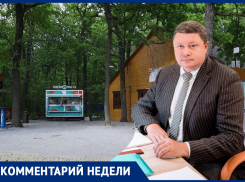 Левобережную альтернативу «Олимпику» предложили создать в Воронеже