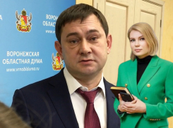 Холостяки и холостячки: кто из депутатов Воронежской облдумы не показал в декларации вторую половинку
