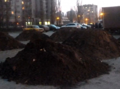 В Воронеже дальнобойщиков прогнали с бывшего «Остужевского» рынка