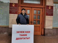 Одиночные пикеты против депутатов и «Единой России» провел воронежский зоозащитник