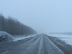 Воронежские трассы замело снегом