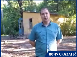 Нашествие голодных собак держит в страхе жителей Воронежа